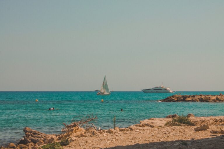 diane-picchiottino-t4lFpfDIlUk-unsplash